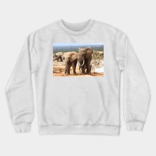 African Wildlife Photography Elephant Siblings Crewneck Sweatshirt